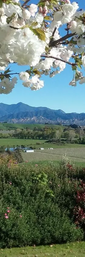 Omaka Heights Countrystay，位于伦威克的酒店