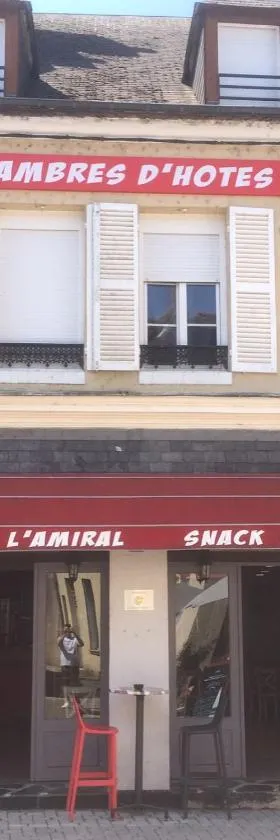 L’AMIRAL，位于Châtillon-Coligny的酒店