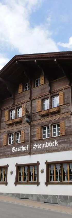 Hotel Steinbock Grindelwald，位于格林德尔瓦尔德的酒店