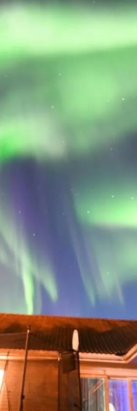The Northern Light Apartment，位于尤卡斯耶尔维的酒店