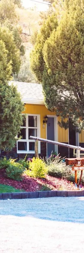 The Pines Country Inn，位于Newcastle的酒店
