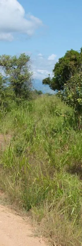 Mahoora Udawalawe - by Eco Team，位于达瓦拉维的酒店