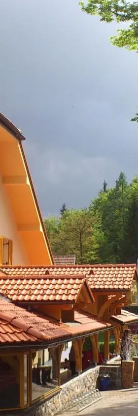Domačija Vodnik & Apartments，位于戈雷尼斯卡地区采尔克列的酒店