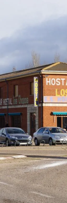 Hostal Los Chopos，位于奥索尔诺的酒店