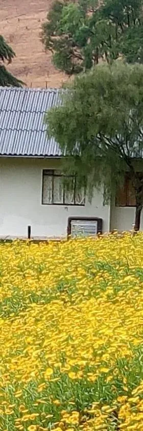 Sítio Kanisfluh，位于特雷齐蒂利亚斯的酒店