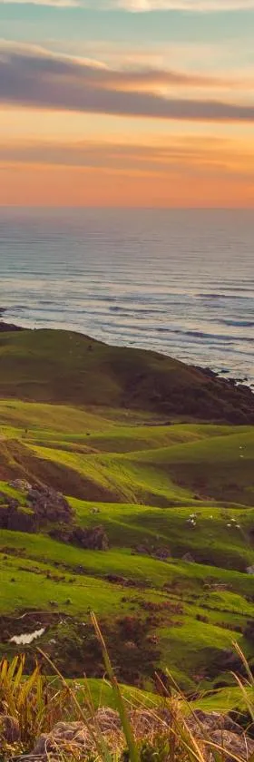 Te Hapu Coastal Cottages，位于科灵伍德的酒店