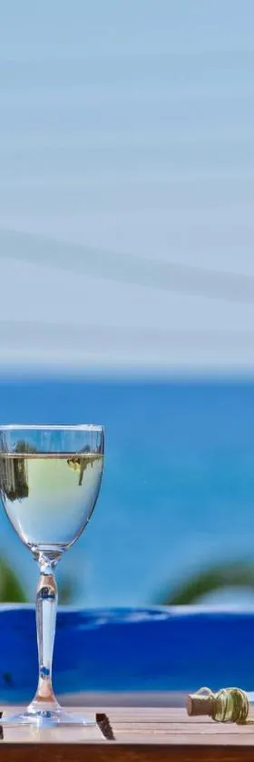 海景公寓及一室公寓酒店，位于圣安娜纳克索斯的酒店
