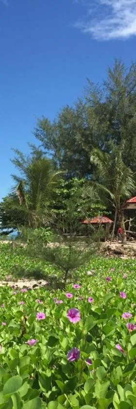 Red Coral Cottage，位于丹绒鲁的酒店
