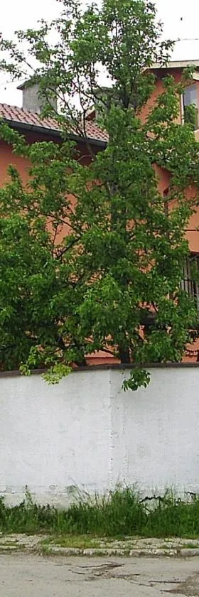 哈迪布雷尔维他酒店，位于Kovachevtsi的酒店