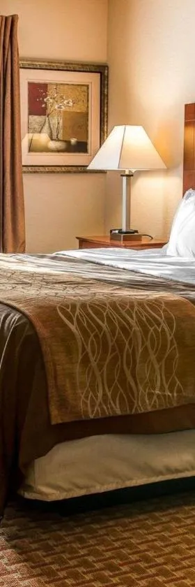 Quality Inn Near Interstate I94，位于新布法罗的酒店