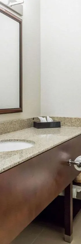 Comfort Inn & Suites Near Fallon Naval Air Station，位于法伦的酒店