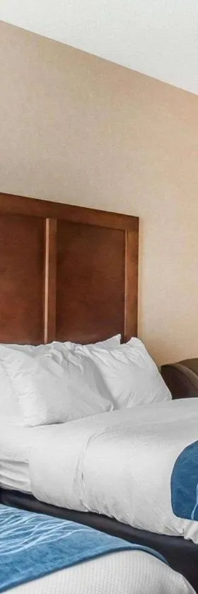 Comfort Inn & Suites Hamburg - Buffalo South，位于汉堡的酒店