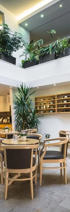 泽尼特巴拉顿健身酒店，位于沃尼奥尔茨沃什海吉的酒店