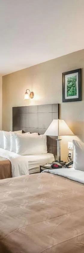 Quality Inn & Suites near Downtown Bakersfield，位于贝克斯菲尔德的酒店