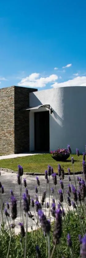 Pizzorno Lodge & Wine，位于Progreso的酒店