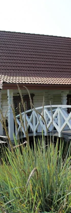 Sodyba pas Olgą，位于Mickūnai的酒店