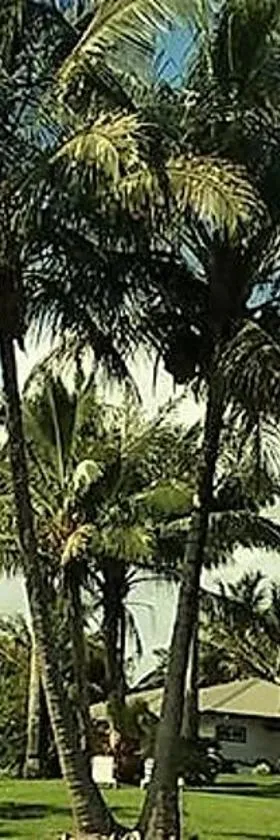 Island Goode's - Luxury Adult Only Accommodation near Hilo，位于Papaikou的酒店