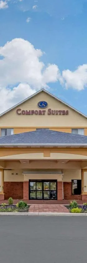 Comfort Suites，位于芬德利的酒店