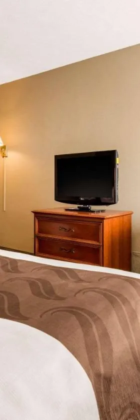 Quality Inn & Suites New Castle，位于纽卡斯尔的酒店