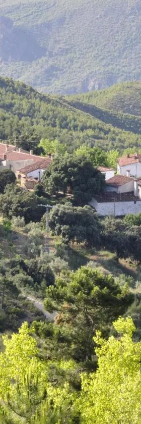 Casas Rurales Tio Frasquito y Cleto，位于耶斯特的酒店