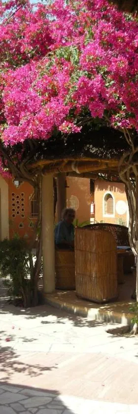 Apani Dhani Eco-Lodge，位于Nawalgarh的酒店