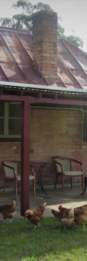 Fernbrook Cottage，位于Marrangaroo的酒店