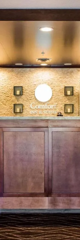 Comfort Inn & Suites Niagara Falls Blvd USA，位于尼亚加拉瀑布的酒店