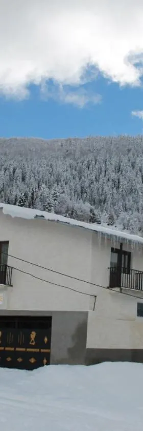 Maia's Guesthouse，位于Chvabiani的酒店