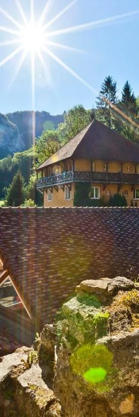 Castel Damandre - Demeures & Châteaux，位于阿尔布瓦的酒店