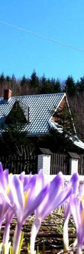 Góralska Czarcia Chata pod Jałowcem，位于Stryszawa的酒店