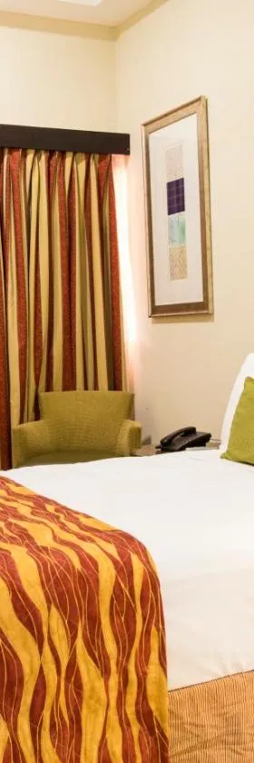 Hotel El Viejo Inn，位于奇南德加的酒店