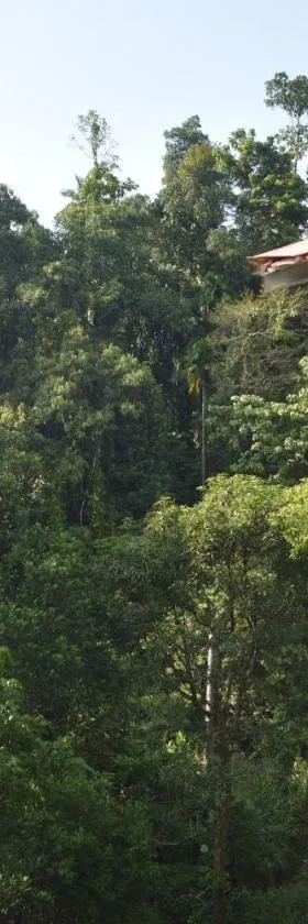 White Villa Kitulgala，位于基图尔格勒的酒店
