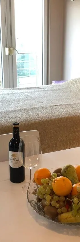Studio Apartments Santa，位于Marčići的酒店