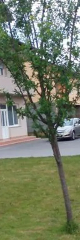 Kuc kuc apartmani，位于卡尔洛瓦茨的酒店