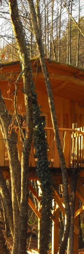 Cabane des cerfs，位于Allons的酒店