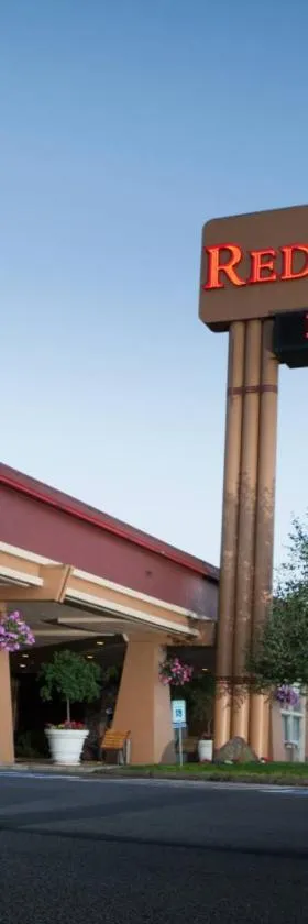 凯尔索红狮酒店，位于凯尔索的酒店
