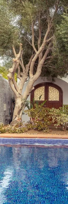 The Blue House in Maspalomas，位于马斯帕洛马斯的酒店