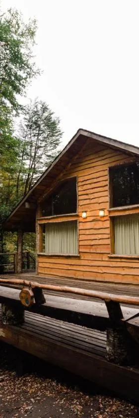 回罗回罗山林小屋，位于惠洛惠洛的酒店