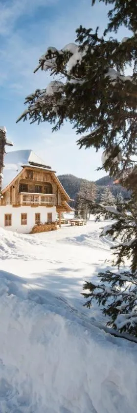Ludlalm am Prebersee，位于塔姆斯韦格的酒店