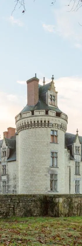 The Originals le Château de Dissay Poitiers，位于Dissay的酒店