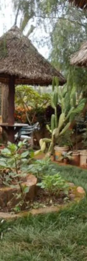Kialilo Green Garden Motel，位于Lushoto的酒店