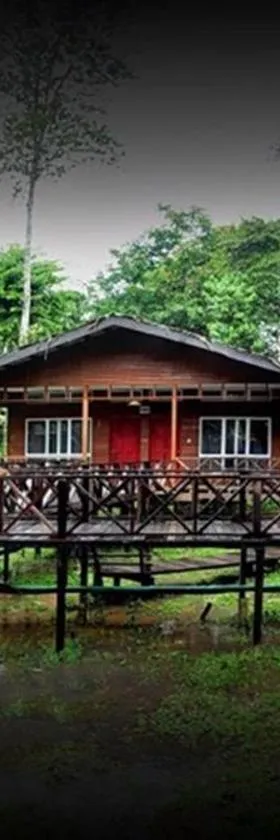 婆罗自然旅舍，位于Sukau的酒店