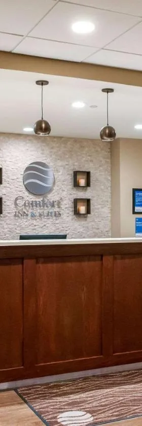 Comfort Inn & Suites At Copeland Tower，位于梅泰里的酒店