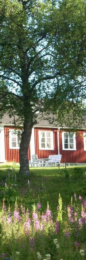 Å-hemmet i Dikanäs，位于Kittelfjäll的酒店