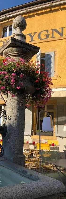 Hôtel du Cygne，位于伯韦的酒店