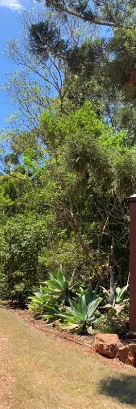 山景小屋酒店，位于金格罗伊的酒店