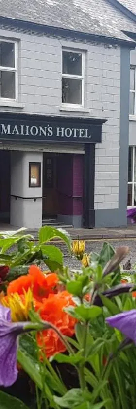 马洪酒店，位于Irvinestown的酒店