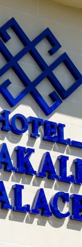 Karakalpak Palace Hotel，位于努库斯的酒店