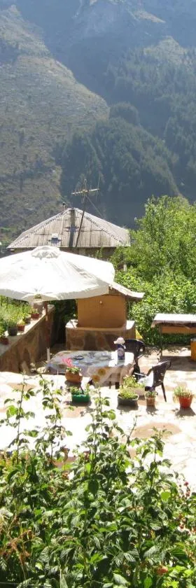 克里斯塔尔旅馆，位于特里格拉德的酒店
