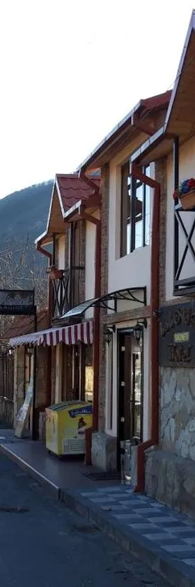 巴基内提酒店，位于姆茨赫塔的酒店